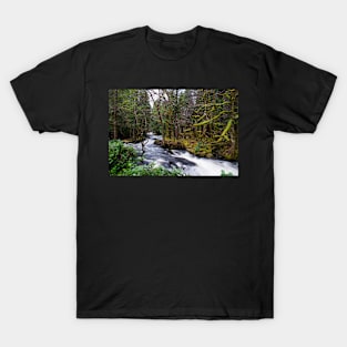 Aros Park, Tobermory T-Shirt